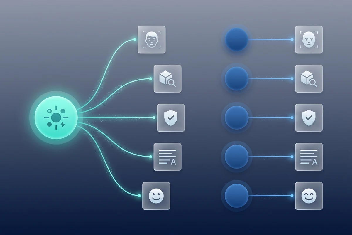 Diagram showing one Pixicular API call branching into multiple analyses on top, and many separate per-feature calls fanning out into individual responses on the bottom.